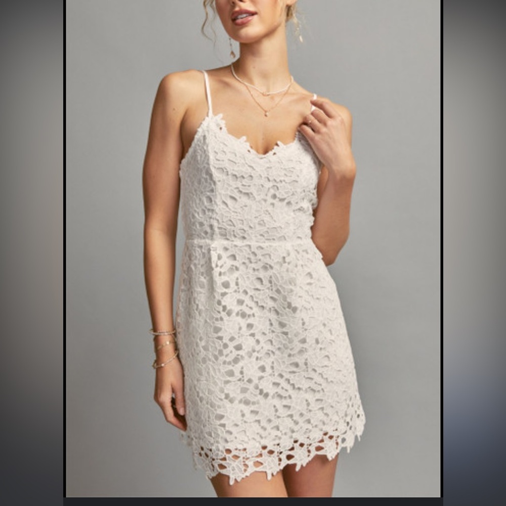 Francesca’s Lace Mini Dress